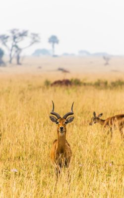 andrew-s-h5vMnGRk7os-unsplash