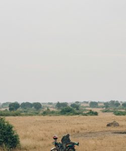 random-institute-JP9BQVlcED8-unsplash